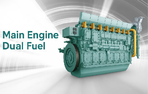 Main Engine Dual Fuel